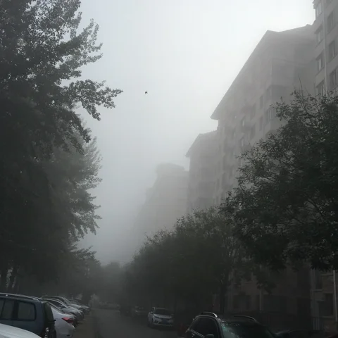 嘎嘎
